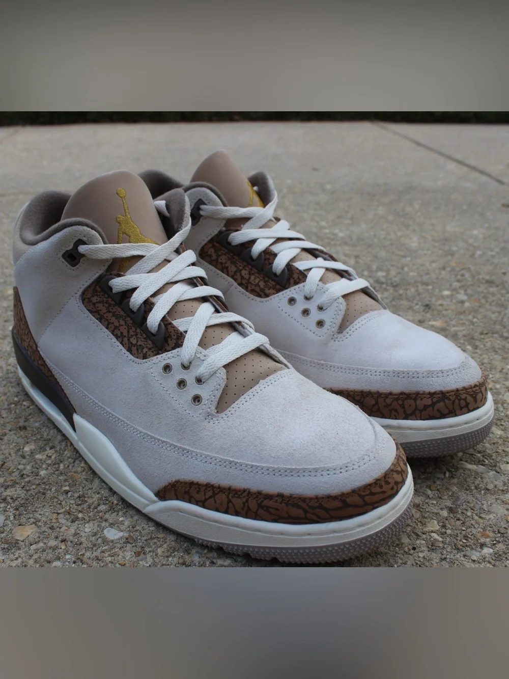 Nike Air Jordan 3 Retro 